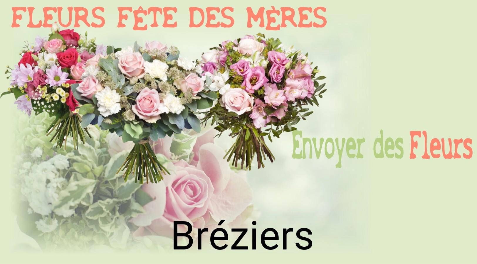 Bouquet de Fête des Mères livré à Bréziers